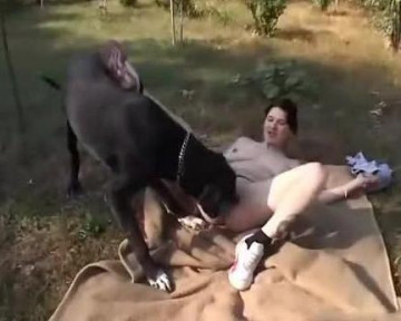 Animal sex дала собаке размять сфинктер на лужайке зоо анальное скачать
