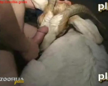 Animal sex важный зоофил засадил козе в пизду зоо частное