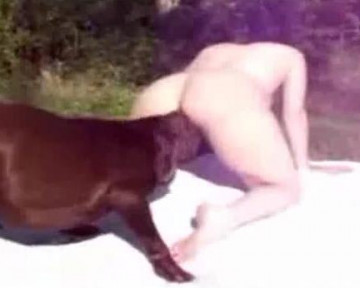 Старинное зоо секс видео с собачкой на природе