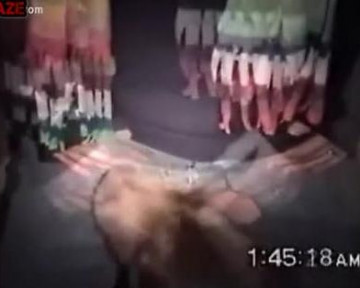 Zoo porn video толстая зоофилка занимается сексом с собакой