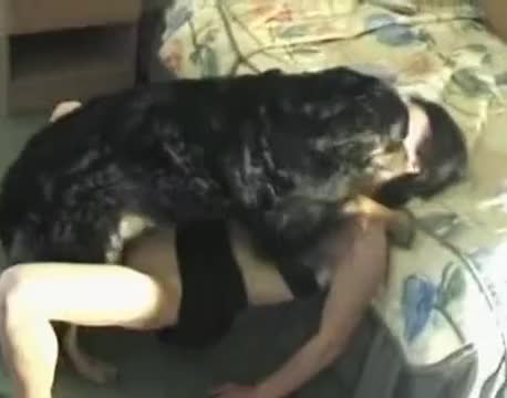 Dog porn черный кобелек натягивает хозяйку в спальне зоо порно частное