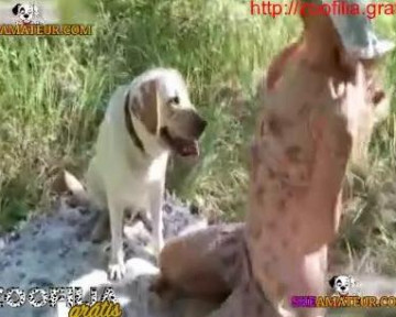 Animal sex женщина перепихнулась с собакой на природе зоо видео публичное