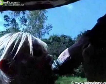 Horse porn отчаянная блондинка сосет скакуну на лужайке зоо оральное видео