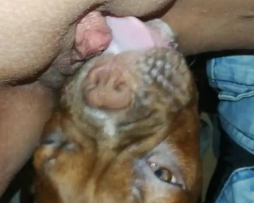 Zoo sex толстуха с выбритой пиздой дала собаке полизать клитор