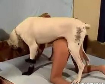 Загорелая блондинка с красивым телом трахается с псом домашнее зоо видео