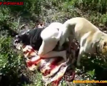 Dog sex женщина с классной попкой перепихнулась с собакой в лесу зоо видео