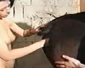 Zoophile sex девушка дрочит кобыле рукой зоо фистинг