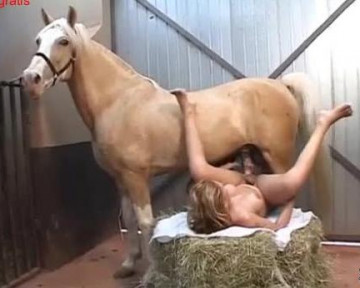 Horse porn жеребец с большим хуем размял сфинктер трансу анал видео в качестве